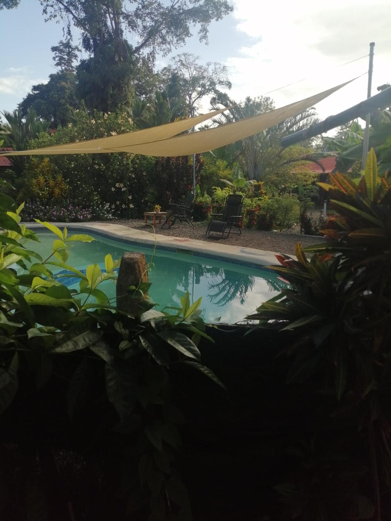 Cabinas Los Tucanes Cahuita Cameră foto