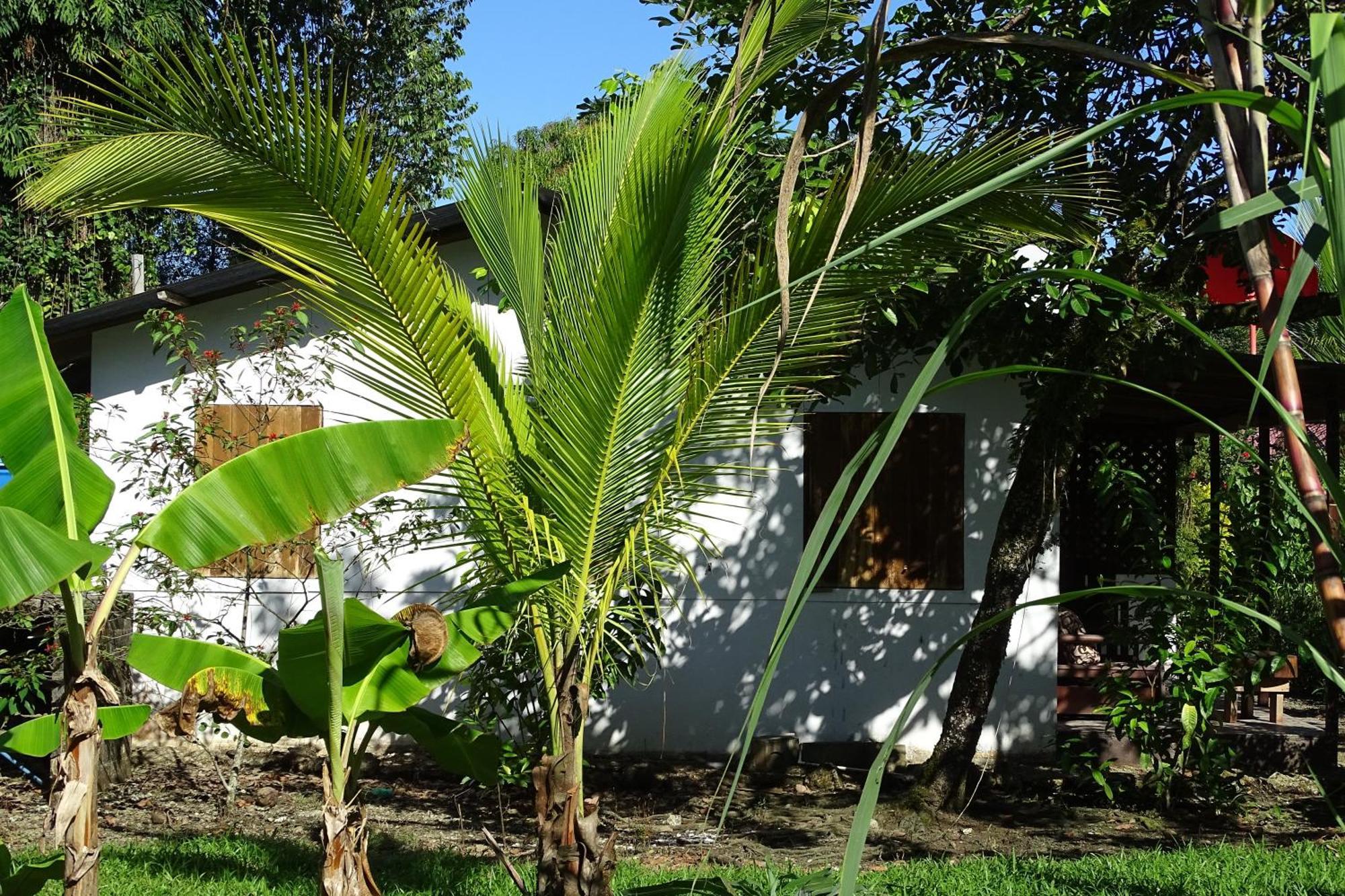 Cabinas Los Tucanes Cahuita Exterior foto